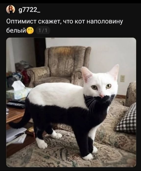 Доверили опять