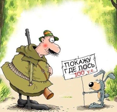 Картинки для деградации 224 (разной степени свежести)