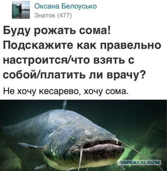 Вопросы по золотым слиткам Сбербанка...