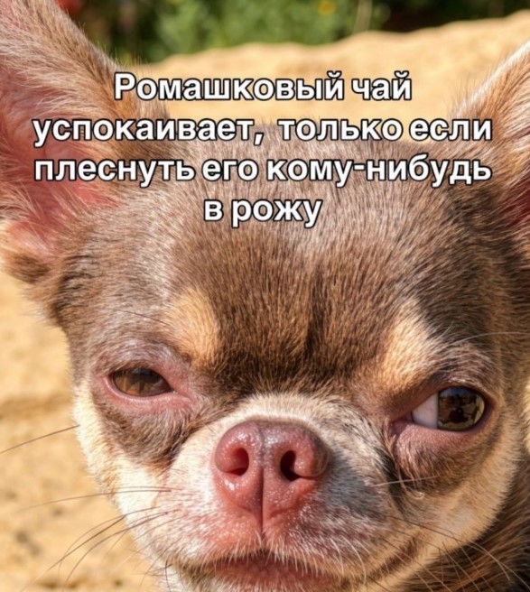 Пятничные бояны