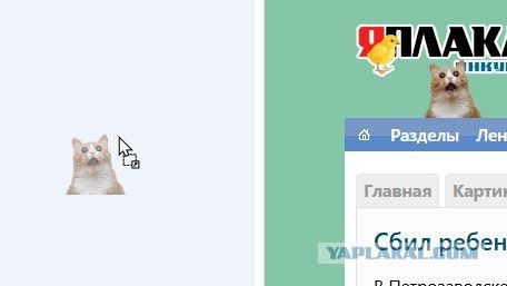 Я постарел или кота модернизировали?