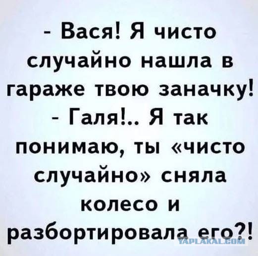 Веселые картинки в пятницу (21.08)