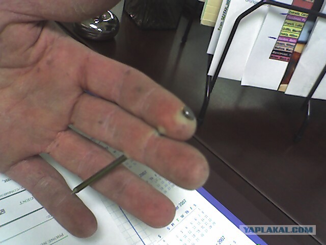 Похищения активистов Беркутом...