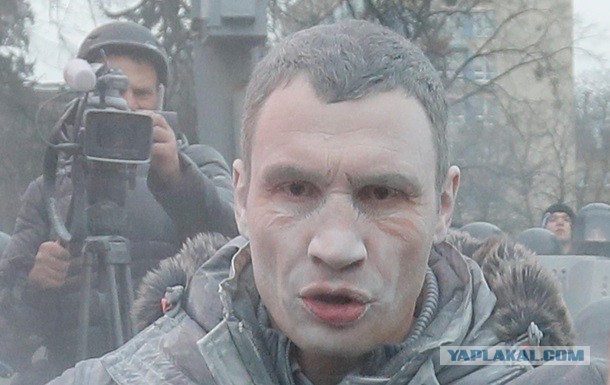 Кто из Донецка! Всего лишь камыш