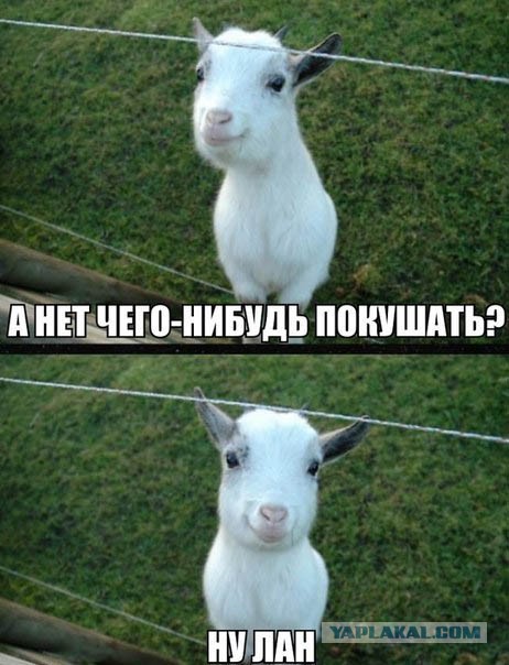 Друг жрёт вкусняху, а ты просишь "Дай куснуть..."