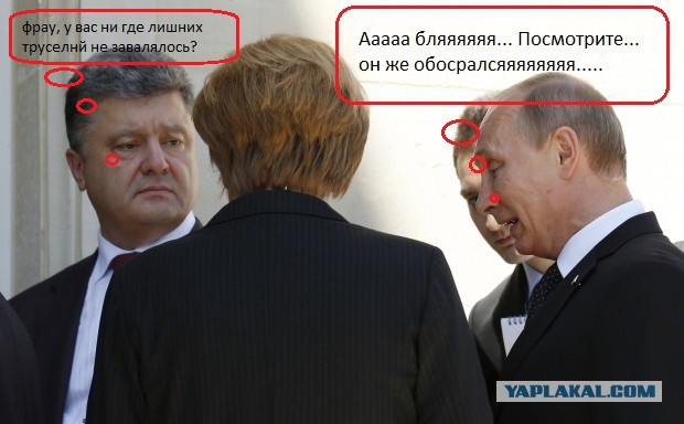 Похоже он его боится
