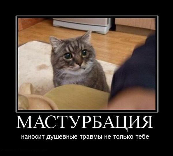 Школоте посвящается