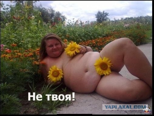 Комменты из соцсетей