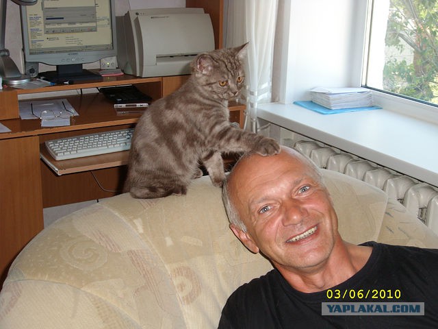 Котовторник 16.09.14
