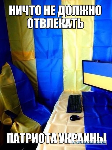 Майдан головного мозга