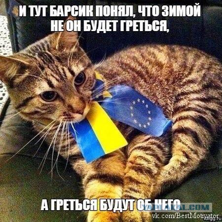 Смешные комментарии из социальных сетей 11.11.2014