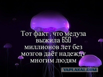 Супер украинский автомат!