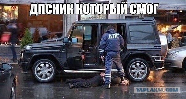 Веселые картинки