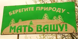 Хотели покормить синичек