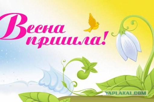Что за дела, где же наша весна?
