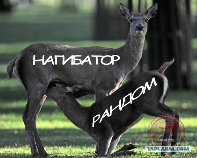 Немного WOT юмора.
