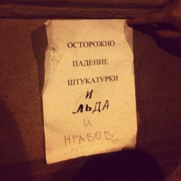 Прикольные картинки