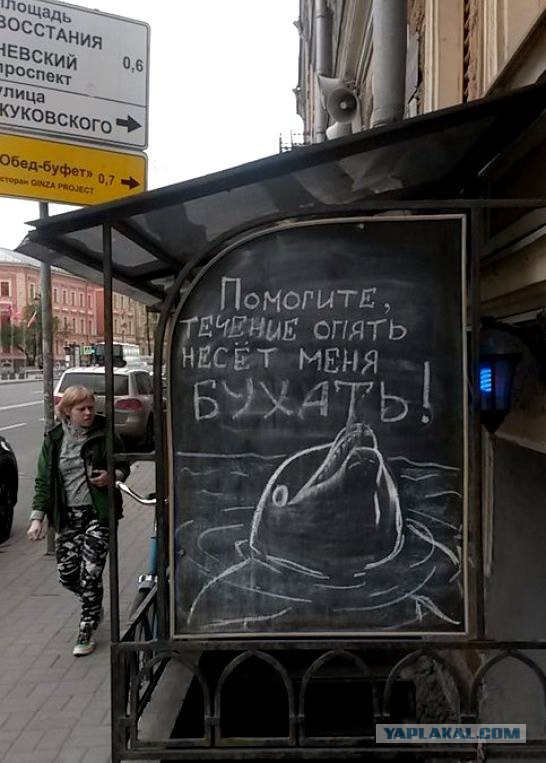 26 картинок на вторник
