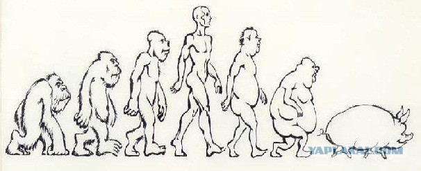 Костюм для опасных районов