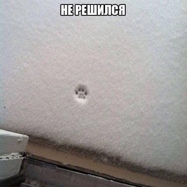 Картинки и демотиваторы