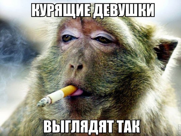 Разные картинки