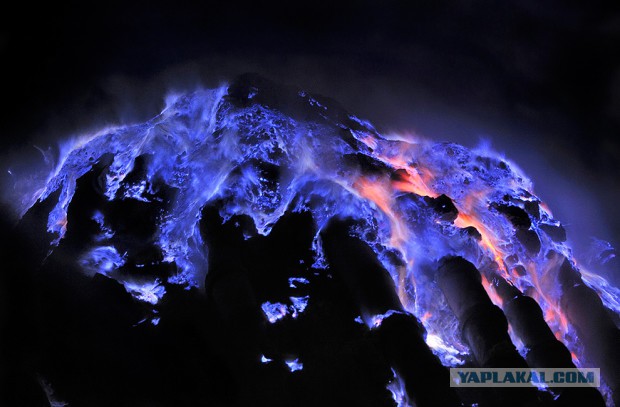 25 неожиданных фактов о нашей жизни