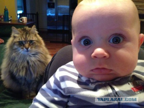 Веселые картинки ч.2