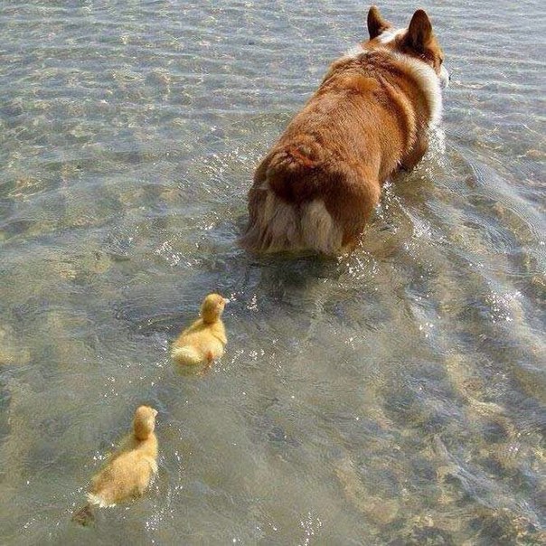 Подборка красивых картинок