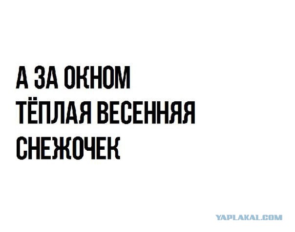 Подборка веселых картинок на выходные