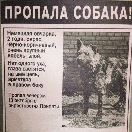 Картинки на пятницу