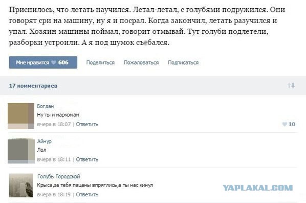 Комментарии, подписи, текстовые приколы