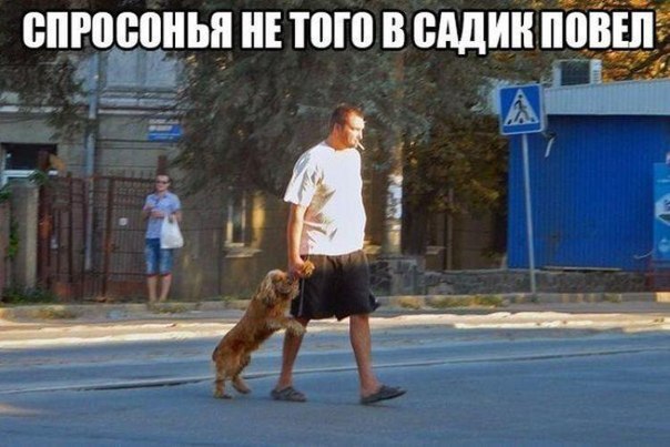 Подборка интересных и веселых картинок