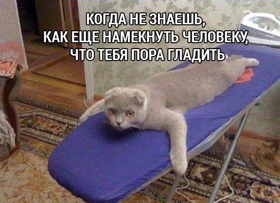 Смешные комментарии из социальных сетей 29.07.2016