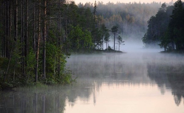 Порция картинок