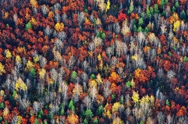 Фотографии из самых разных уголков планеты которые захватывают дух.
