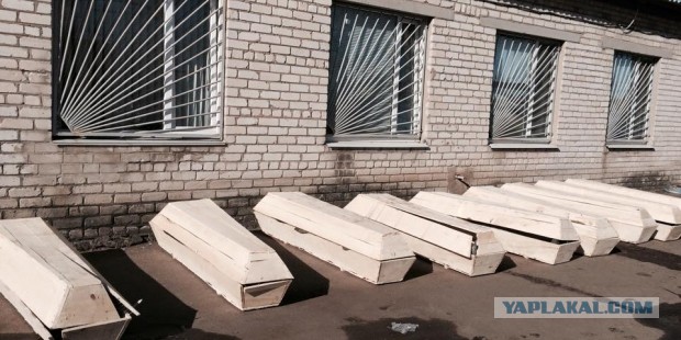 В Петербурге неизвестный облил краской граффити с Моторолой