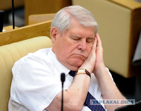 Перерабатывают... слуги народа