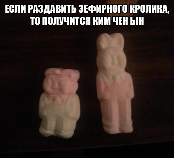 Порция абсурдного юмора на следующую неделю