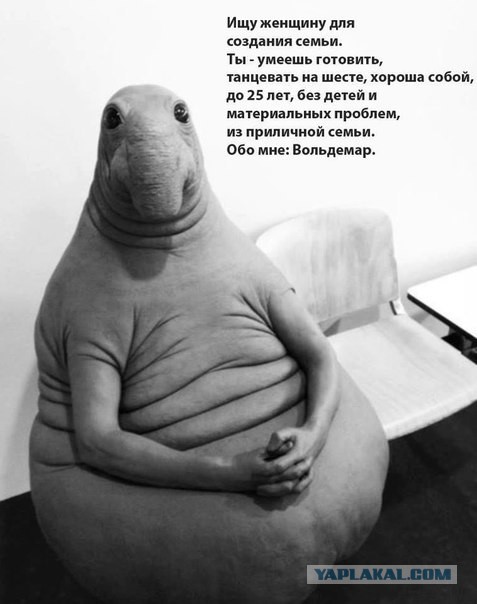 Не совсем светлый юмор