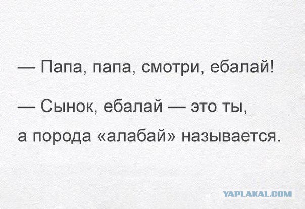 Подборка картинок