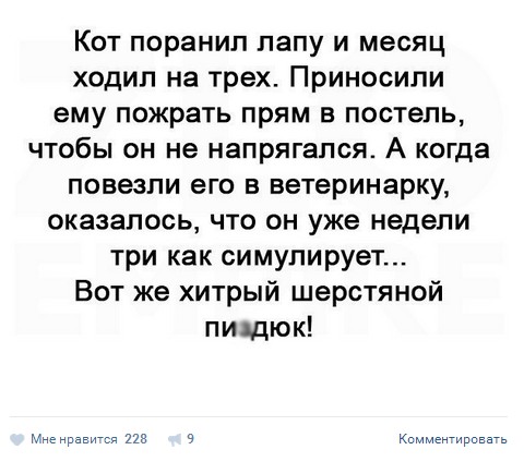 Ужасы и приколы из соцсетей 18+