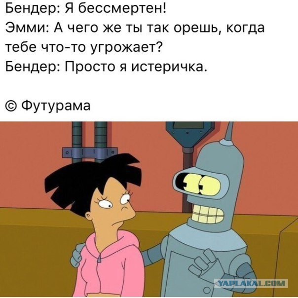 Смешные комментарии из социальных сетей 19.05.2017