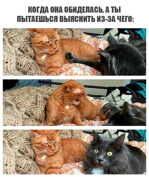 Очередная подборка школьной наркомании
