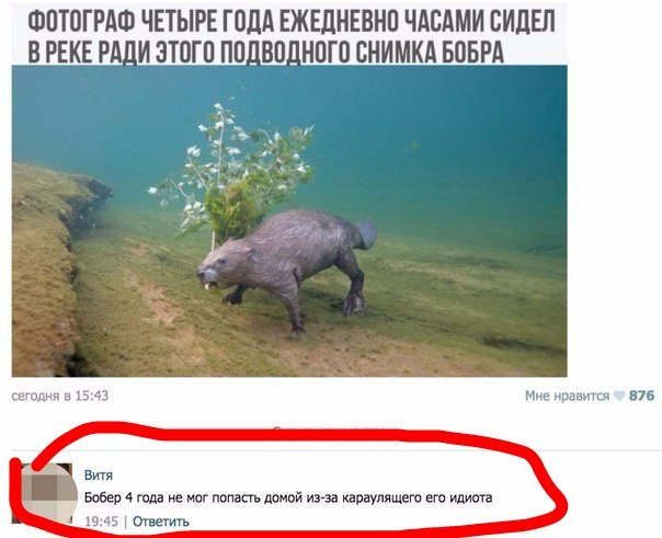 Забавные комментарии, шутки и фразы из этих ваших интернетов