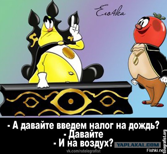 За что я плачу?