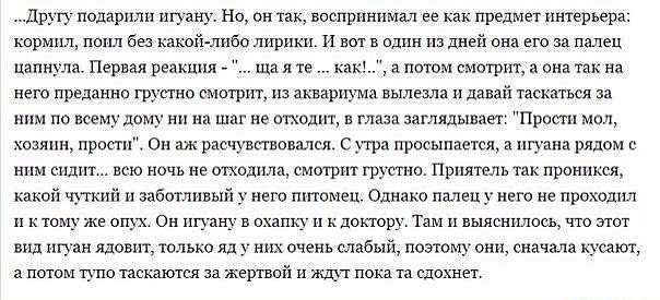 Холодная? Не, норм.