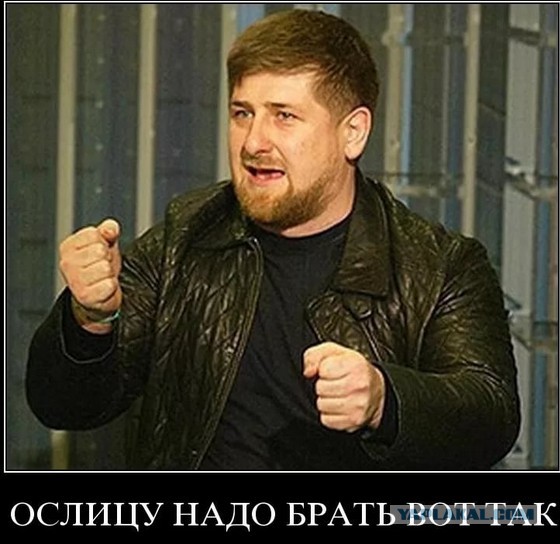 Кадыров наехал на Зюганова