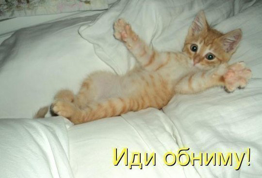 Беседка ФиС ЯПа