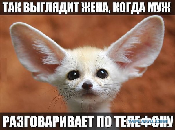 Подборка картинок чисто на поржать 18+