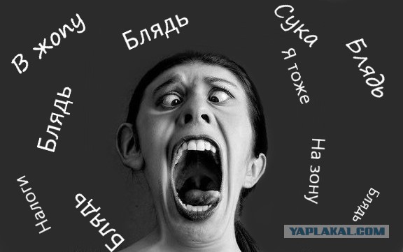 "Полицейская" устроила истерику с дракой из-за эвакуированного авто